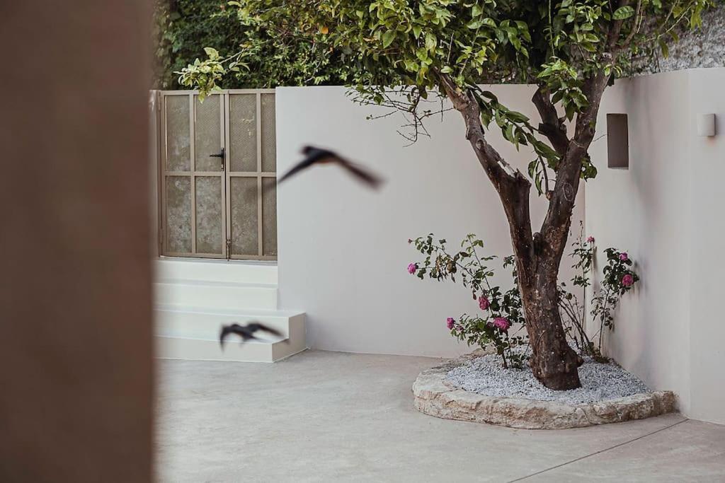 Vila Lotusland, A Relaxing House At Amari Rethymno Agia Fotini  Exteriér fotografie